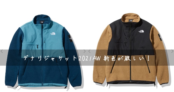 The North Face デナリ ジャケット ストームブルー Mサイズ